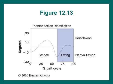 Figure 12.13. Figure 12.14 Figure 12.18 Figure 12.19.