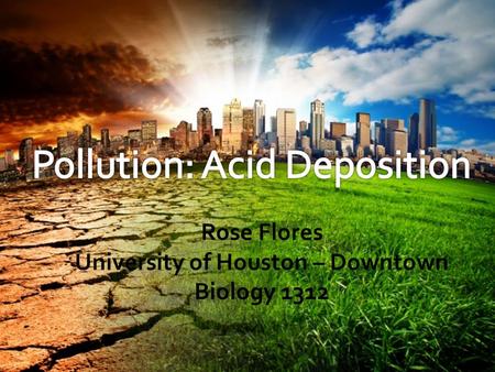 Rose Flores University of Houston – Downtown Biology 1312.