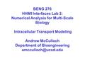 BENG 276 HHMI Interfaces Lab 2: Numerical Analysis for Multi-Scale Biology Intracellular Transport Modeling Andrew McCulloch Department of Bioengineering.