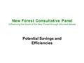 New Forest Consultative Panel 'Influencing the future of the New Forest through informed debate’ Potential Savings and Efficiencies.