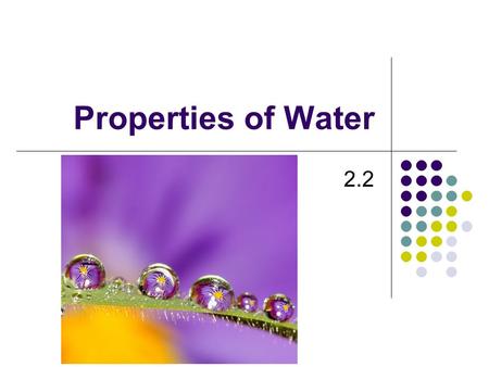 Properties of Water 2.2 Why Water? -Water regulates the temperature of plants and transports nutrients through them.