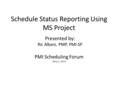 Schedule Status Reporting Using MS Project