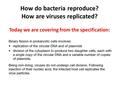 How do bacteria reproduce? How are viruses replicated? Today we are covering from the specification: