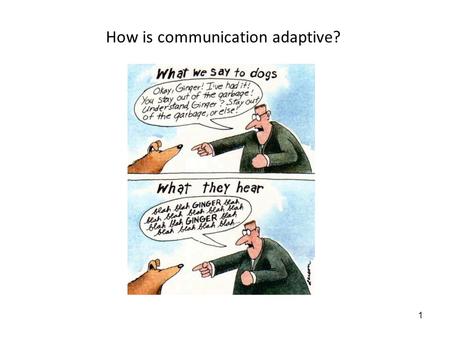 1 How is communication adaptive? 2 6/4/08: Animal Communication: Adaptationist perspective of communication Lecture objectives: 1.Be able to tell if.