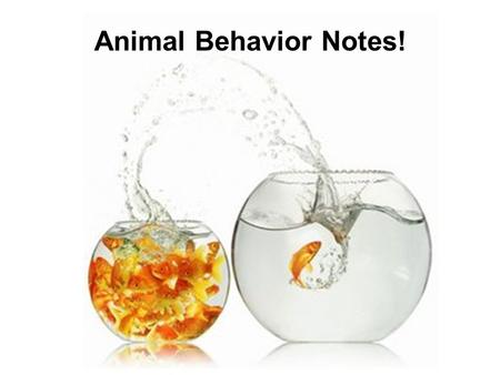 Animal Behavior Notes! Behavior What an animal does & How an animal does it! Think of all of the behaviors of your pet...or a friends’ pet. List them.