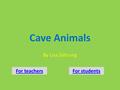 Cave Animals By Lisa Zehrung For teachersFor students.