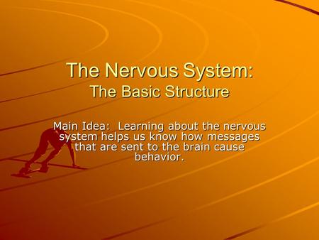 The Nervous System: The Basic Structure Main Idea: Learning about the nervous system helps us know how messages that are sent to the brain cause behavior.