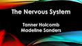 CENTRAL NERVOUS SYSTEM The complex of nerve tissues that controls the activities of the body. It’s made up of the brain and spinal cord. Spinal cord controls.