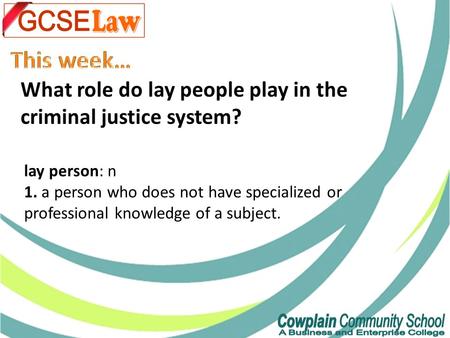 What role do lay people play in the criminal justice system? lay person: n 1. a person who does not have specialized or professional knowledge of a subject.