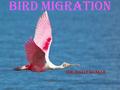 BIRD MIGRATION DR. DALIP KUMAR.