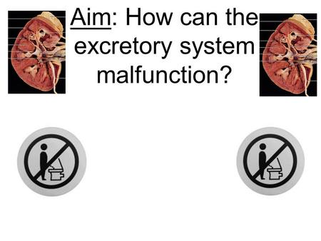 Aim: How can the excretory system malfunction?