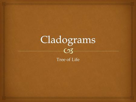 Tree of Life.    Pictorial representation of the branching patterns of evolution that are reflected in modern taxonomy  Each branch is called a clade.