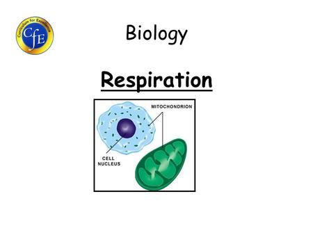 Biology Respiration.