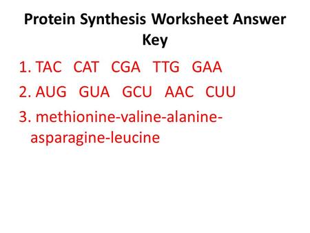 Protein Synthesis Worksheet Answer Key