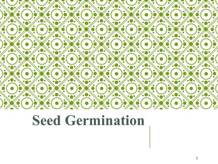 Seed Germination.