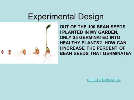 Experimental Design SEED GERMINATION OUT OF THE 100 BEAN SEEDS I PLANTED IN MY GARDEN, ONLY 35 GERMINATED INTO HEALTHY PLANTS? HOW CAN I INCREASE THE PERCENT.