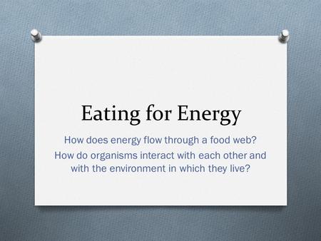 Eating for Energy How does energy flow through a food web? How do organisms interact with each other and with the environment in which they live?