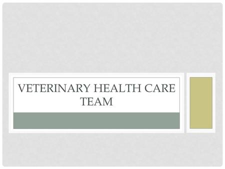 VETERINARY HEALTH CARE TEAM. Every veterinary hospital staff consists of a team of caring individuals, each contributing his or her unique abilities to.