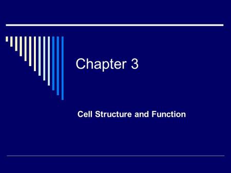 Chapter 3 Cell Structure and Function 7-1 Early microscopes  1665 Robert Hooke discovered cells while observing slices of cork  Anton van Leewenhoek.