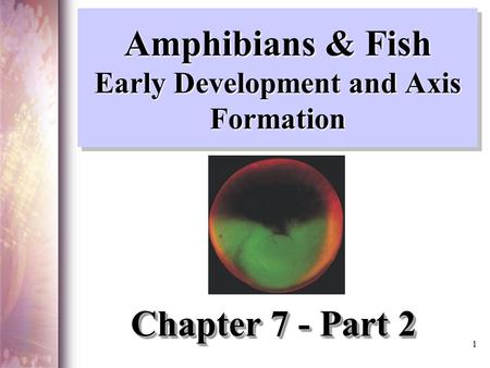 Amphibians & Fish Early Development and Axis Formation