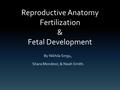 Reproductive Anatomy Fertilization & Fetal Development By Nikhila Singu, Shara Mondesir, & Noah Smith.