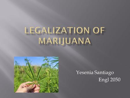 Yesenia Santiago Engl 2050.  Marijuana is of leaves, stems, seeds and chopped dried flowers of the plant called Cannabis Sativa.  Common names: grass,