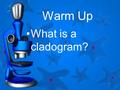 Warm Up What is a cladogram? 1. 2 Bacteria Structure and Function.