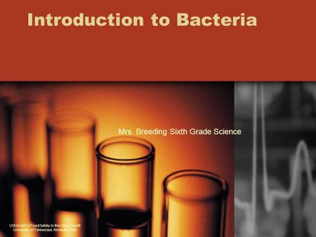 Introduction to Bacteria USDA NIFSI Food Safety in the Classroom© University of Tennessee, Knoxville 2006 Mrs. Breeding Sixth Grade Science.