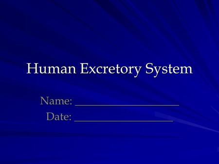 Human Excretory System Name: ___________________ Date: __________________.