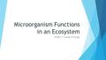 Microorganism Functions in an Ecosystem Bundle 11: Energy & Ecology.