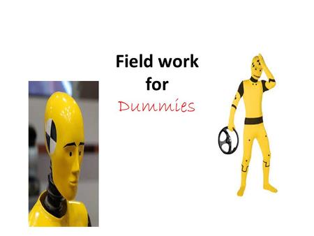 Field work for Dummies.