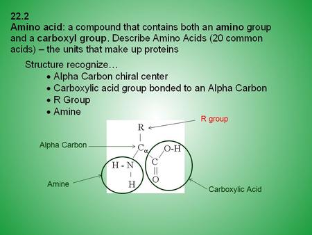 Amine R group Alpha Carbon Carboxylic Acid. Nonpolar side chains.