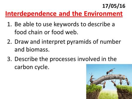 Interdependence and the Environment