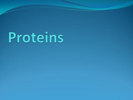 Functions Enzymes – organic catalysts Structural – skin, hair, muscle Antibodies Hormones.