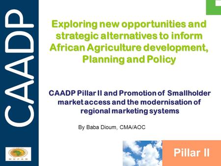 PARTNERSHIPS IN SUPPORT OF CAADP Exploring new opportunities and strategic alternatives to inform African Agriculture development, Planning and Policy.