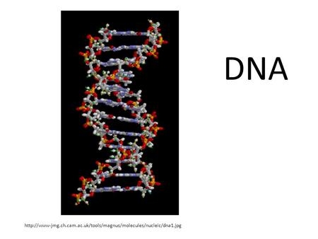 DNA