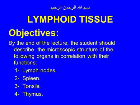 LYMPHOID TISSUE Objectives: بسم الله الرحمن الرحيم