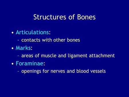 Structures of Bones Articulations: Marks: Foraminae: