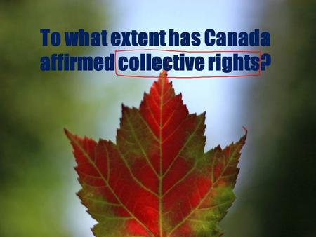 To what extent has Canada affirmed collective rights?