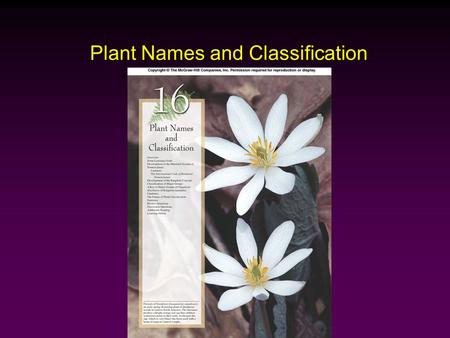 Plant Names and Classification