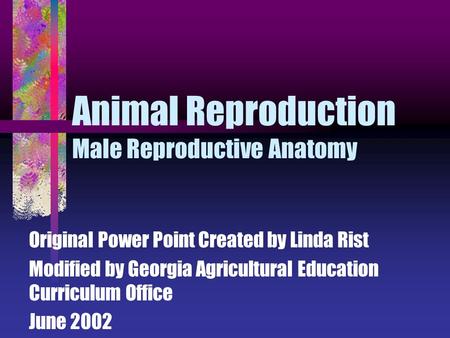 Animal Reproduction Male Reproductive Anatomy Original Power Point Created by Linda Rist Modified by Georgia Agricultural Education Curriculum Office June.