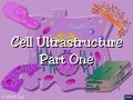 © SSER Ltd.. Eukaryotic cells are organised around systems of membranes Cells are surrounded by a plasma membrane within which is contained a complex.