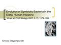 Anoop Mayampurath Evolution of Symbiotic Bacteria in the Distal Human Intestine Xu et. al, PLoS Biology 2007, 5 (7), 1574-1586.