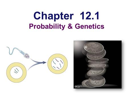 Chapter 12.1 Probability & Genetics Genetics & Probability  Mendel’s laws:  segregation  independent assortment reflect same laws of probability that.