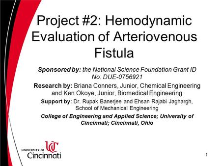 Project #2: Hemodynamic Evaluation of Arteriovenous Fistula Sponsored by: the National Science Foundation Grant ID No: DUE-0756921 Research by: Briana.