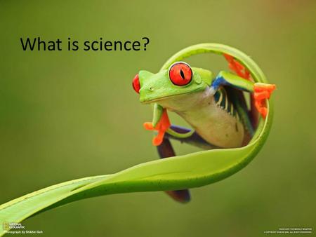 What is science?. Scientific Method Observation – Reason for conducting an experiment “That thing looks funny” “I wonder what would happen if I did this”