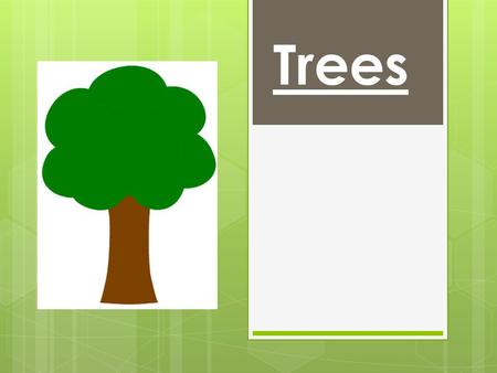 Trees. Woodlands and Rainforests Trees are found in many places including woodlands and rainforests.