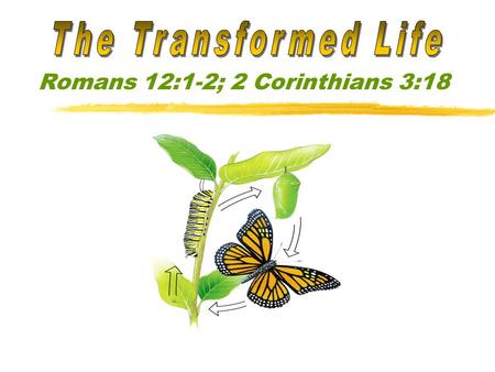 Romans 12:1-2; 2 Corinthians 3:18. is not “Conformed to this World” What is “this World”? That which is under Satan’s sway. (1 John 5:19; Ephesians 6:12)