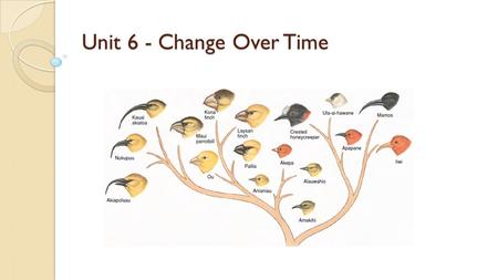 Unit 6 - Change Over Time. Adapting to the Environment 15. Adaptation - a behavior or physical characteristic that allow an organism to survive or reproduce.