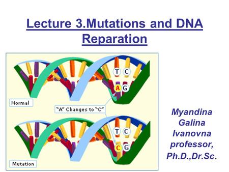 Lecture 3.Mutations and DNA Reparation Myandina Galina Ivanovna professor, Ph.D.,Dr.Sc.